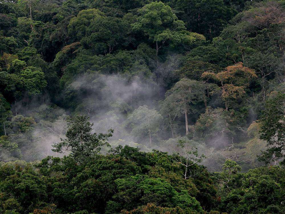 photo-film-Il-etait-une-foret-6